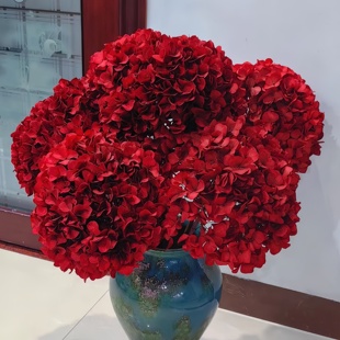 永生花高级感红色大叶绣球真花干花超大花束造景花束摆件安娜绣球