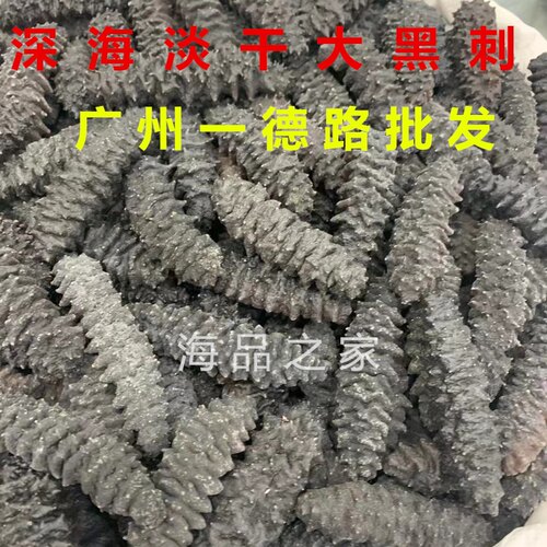 美国进口黑刺野生海参