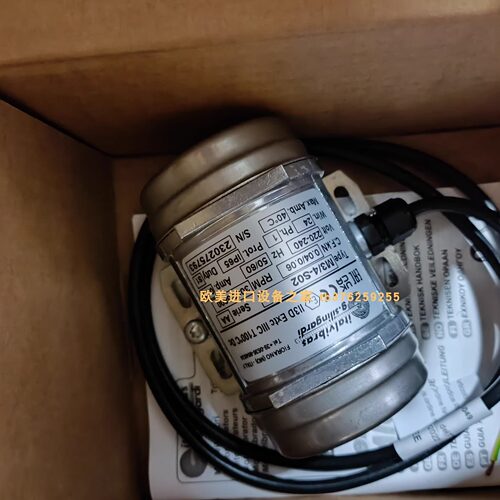 ITALVIBRASM3/20-S02电机