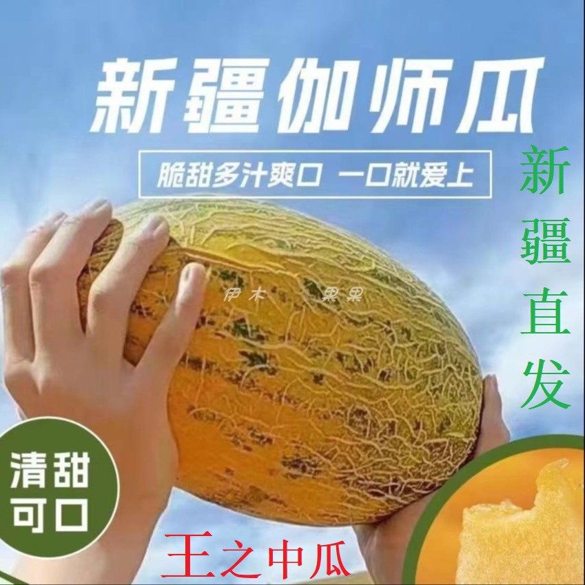 新疆特产 86王蜜瓜 新鲜水果伽师瓜甜瓜香瓜鲜果黄皮果当季哈密瓜
