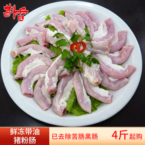新鲜生猪粉肠4-20斤商用整箱饭店餐饮早餐猪杂汤卤水冷冻生鲜食材