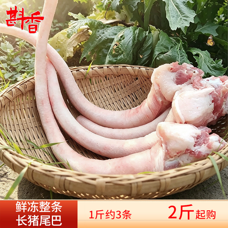 新鲜冷冻长猪尾2~5斤整条去毛生猪尾巴不带尾根肉卤菜生鲜食材