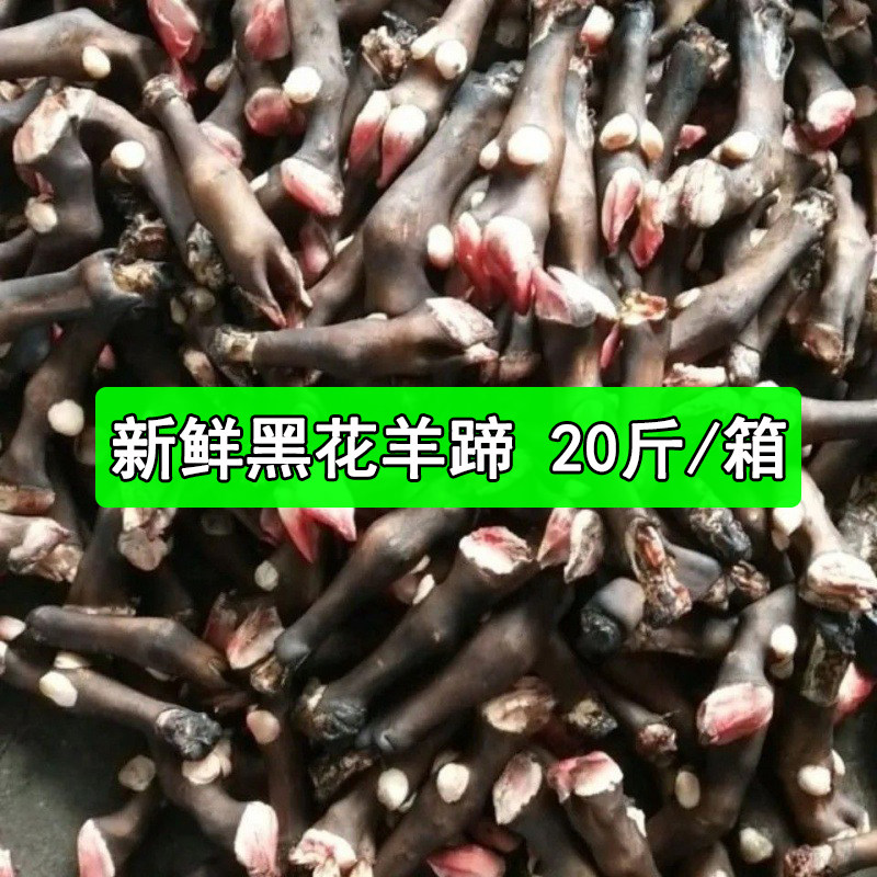 新鲜冷冻花羊蹄黑羊蹄20斤整箱商用内蒙古散养黑山羊生羊蹄子5斤