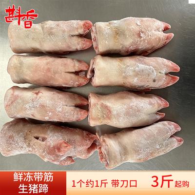 新鲜冷冻带筋短猪蹄5斤-20斤商用带刀口前后脚生猪手猪爪生鲜食材