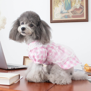 泰迪狗狗宠物衣服花边领子格子公主裙子春秋款 薄款 小型犬幼犬 夏款