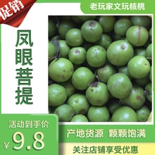 青皮凤眼菩提风干果带皮鲜果龙眼麒麟眼手串原粒通货藏式红皮散珠