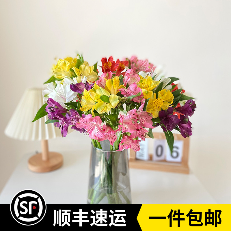 新鲜水仙百合鲜花多头六出百合花家庭办公室水养云南基地母亲节