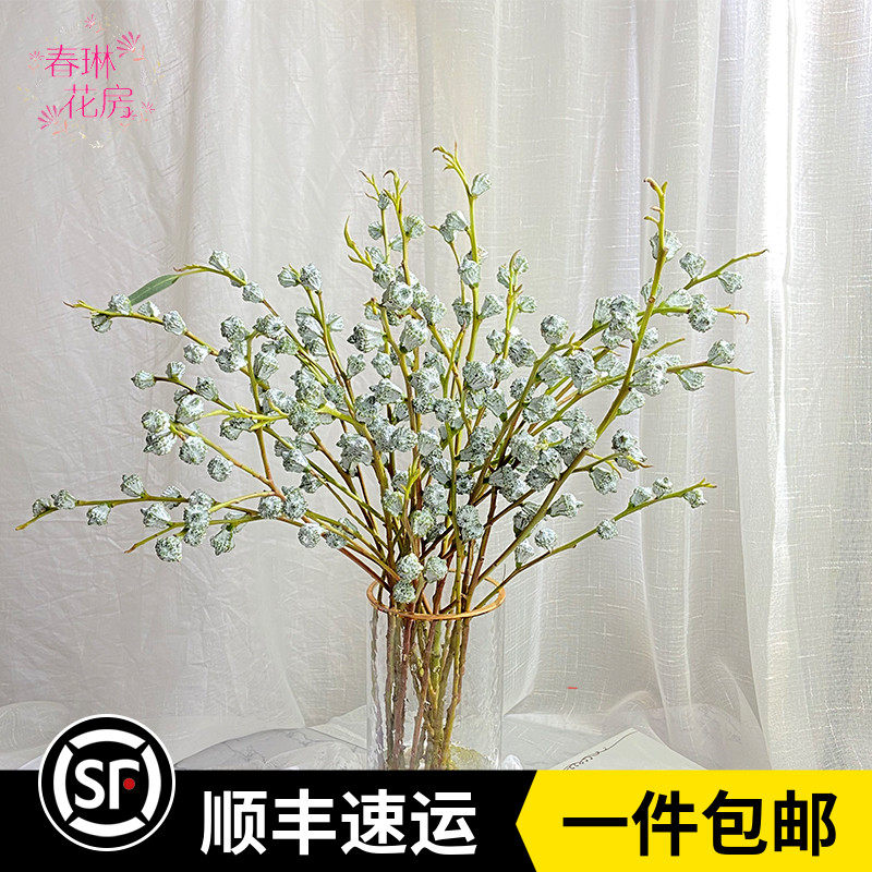 新鲜尤加利果鲜花云南基地直发可做干花家庭办公室水养婚礼花材