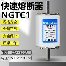 NGTC1 690V 1000V 180A 160A 150A 125A 100A 660V快速熔断器熔芯