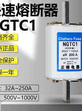 NGTC1 690V 1000V 180A 160A 150A 125A 100A 660V快速熔断器熔芯