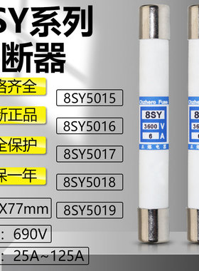 快速熔断器8SY5015 2A 8SY5016 4A 1140V-3600V φ11X77mm保险管