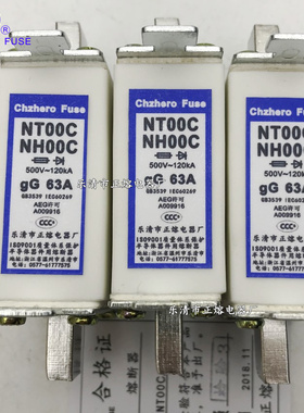熔断器NT00C/NH00C-500V/30A 32A 35A 40A 45A 50A 60A 63A 70A