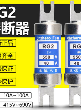 HRC熔断器TIS RG2 550V/40A35A32A25A20A16A10A保险丝管415V660V
