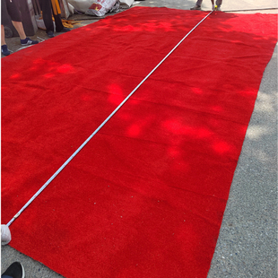 红色二手旧地毯加厚地毯保护地面耐用耐磨自由拼接室内室外可自提
