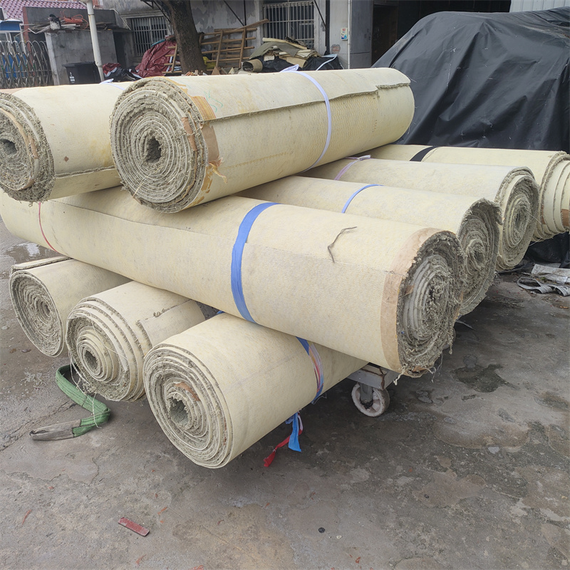 防火阻燃加厚地毯定制大小尺寸