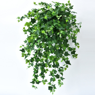 仿真常春藤吊篮爬山虎壁挂装 饰植物墙室内吊兰假花藤垂吊绿叶花藤