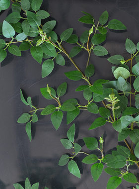 仿真玫瑰藤条绿叶装饰藤蔓吊顶装饰花藤空调管道遮挡绿色树叶植物