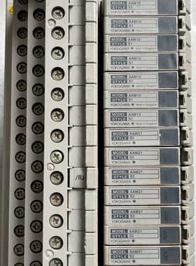 横河DCS    AAM10 AAM21 AAM50 模拟量