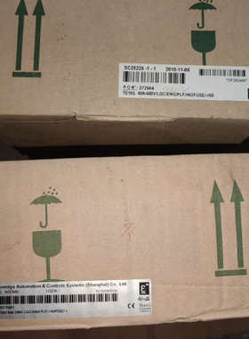 SC25228-1-1-11-10欧陆可控硅调整器TE10S