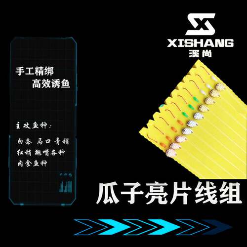 溪尚路亚瓜子亮片绑好套装 不伤线 马口白条新款鱼饵 浮水助头器