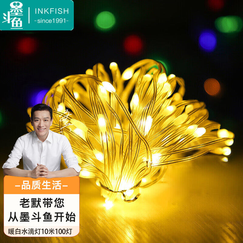 墨斗鱼LED灯小彩灯闪灯串灯节日派对生日网红装饰灯暖白色水滴灯U怎么样,好用不?