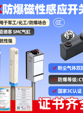 罗舸防爆磁性开关气缸传感器12v-24v工业级3C认证抗干扰性强DMSJ
