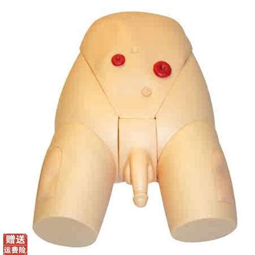 高级整体男性导尿模n型人体导尿模型男女性导尿模型导尿示教模型