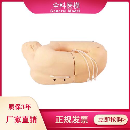 成人腰椎穿刺模型腰椎穿刺仿真标准M化病人医学用模拟人