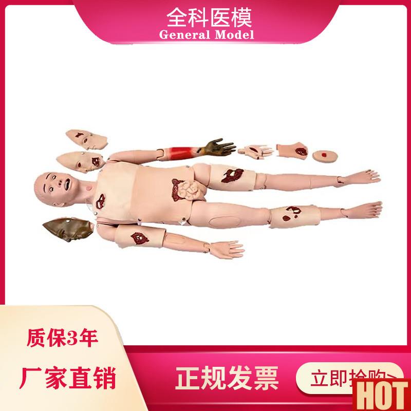 功能创伤护理人模型止血包l扎急救模特医学用人体模型GM/H111