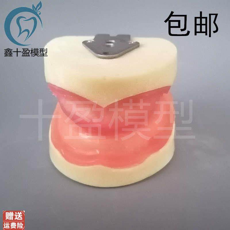 牙科牙齿种植模型全口r种植练习模型软牙龈口腔操作种植练习包邮,美容美体仪器,口腔护理设备礼盒,淘宝优惠券,粉丝福利购,淘宝优惠卷