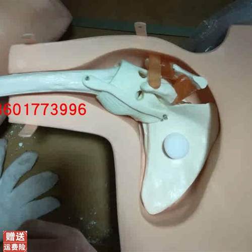 肩关节镜检查模型肩v关节镜检查手术操作训练模型