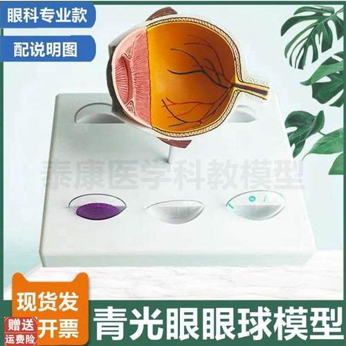 眼科模型青光眼模型眼底视网膜血管神经晶N状体浑浊视力模糊眼睛