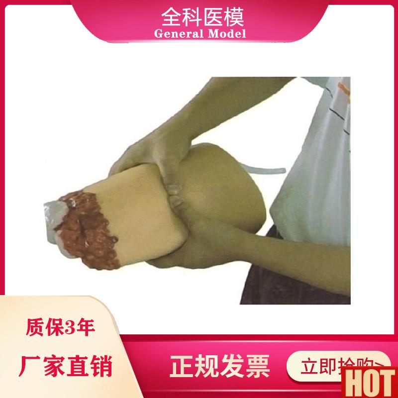 肢外伤断肢止血模型人体大腿断肢包扎止血模具医教学k培训 模型