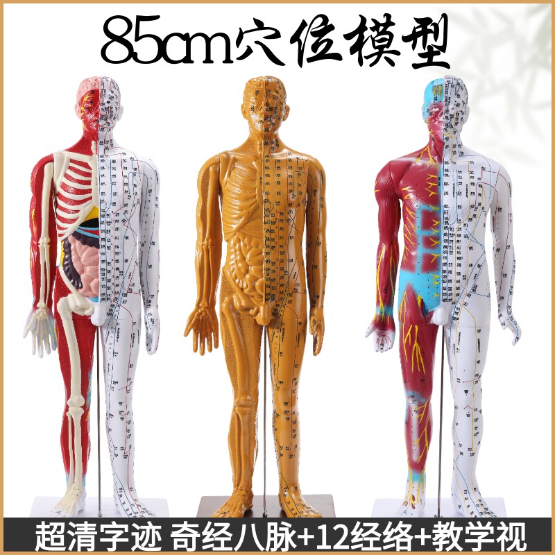 85cm中医针灸k穴位经络模型教学全身家用十二经络图人体解剖铜人