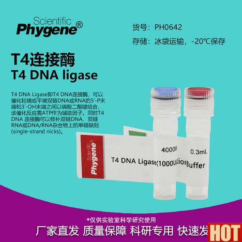 4 DNA连接酶 T4连接酶 T4 DNA Ligase 40000U [PHt0642 PHYGENE]