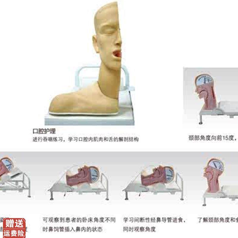 高级吞咽机制模型口腔护理模型吞咽与呼吸机Z制练习模型
