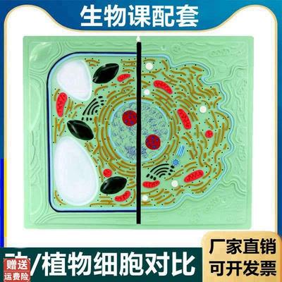 动植物细胞d对比细胞器细胞核叶绿体植物细胞可拆卸生物课用