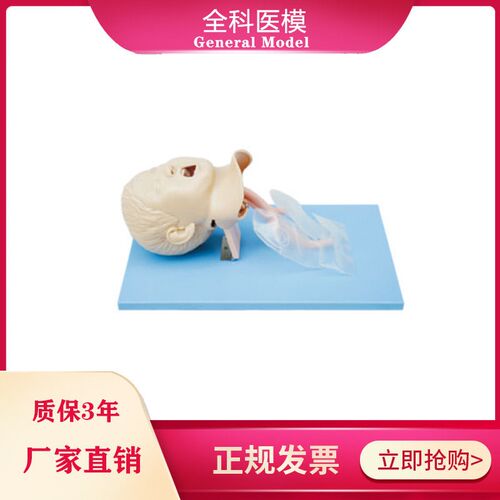 儿童气管插管模i型妇幼技能急救训练护理气道管理模型医院演示