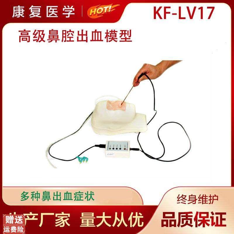 鼻腔出血止血护理模型高级鼻腔出血模型P多种鼻出血症状模型,文具电教/文化用品/商务用品,模拟人,淘宝优惠券,粉丝福利购,淘宝优惠卷