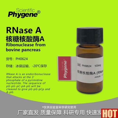 Nase A 核糖核酸酶A 粉末 RNA酶 实验试剂 9001-v99-4