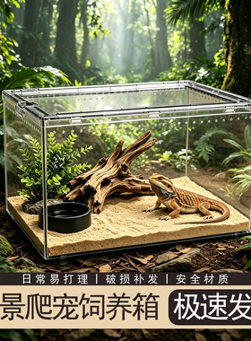 爬宠饲养箱亚克力寄居蟹角蛙蜘蛛守宫蜥蜴宠物蛇乌龟饲养盒生态缸