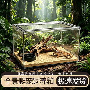 爬宠饲养箱亚克力寄居蟹角蛙蜘蛛守宫蜥蜴宠物蛇乌龟饲养盒生态缸
