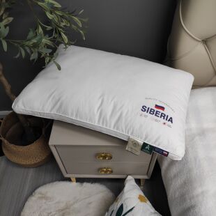 48*74㎝ 新款酒店枕 高枕枕芯 A类60支纯棉面料