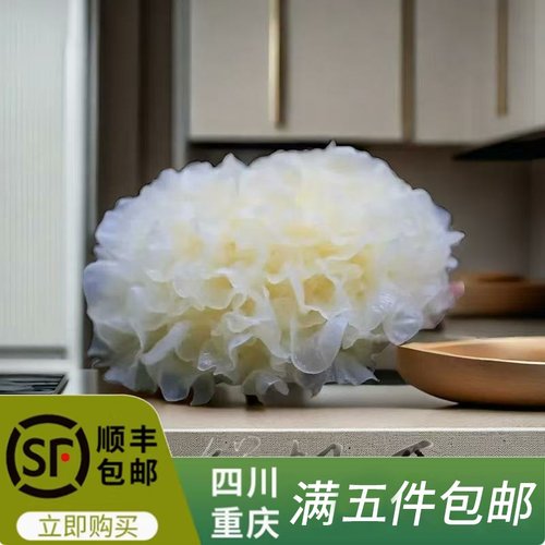 云南小花银耳椴木小银耳