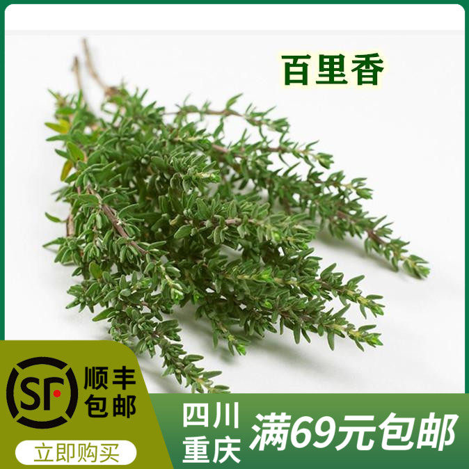 人唯贵新鲜蔬菜百里千里香西餐料理烤肉农家现采重庆满69包邮250g