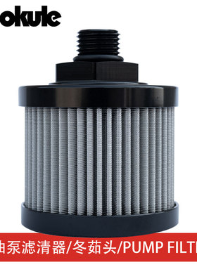 AN6AN8冬菇头蘑菇头油泵汽油滤清器汽油滤芯汽车改装PUMP FILTER