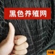 庙头全新聚乙烯黑色养殖网养鸡网防鸟网围网顶网防鸟网果园网防晒