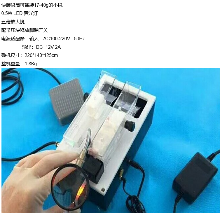 静脉可视小鼠尾注固定器 GEGD-Q9G小鼠可视尾静脉注射固定器