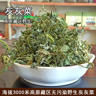 甘南藏区高海拔野生干灰灰菜干野菜农家乐凉菜灰蓼头草藜优质绿