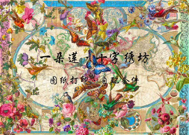 DMC十字绣套件 HAE Birds Butterflies and Blooms World Map蜂鸟